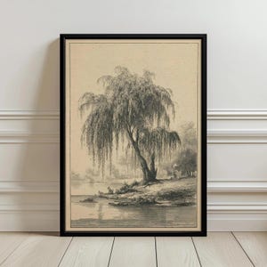 May include: Framed black and white print of a weeping willow tree by a body of water. The artwork is a detailed illustration with a vintage aesthetic, showcasing the tree's cascading branches and the surrounding landscape.