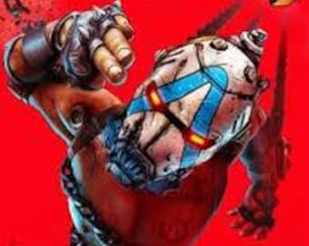 Borderlands 4 PC Offline Activation | Full Game Access | Instant Digital Delivery