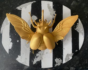 Faux taxidermy Beetle Art