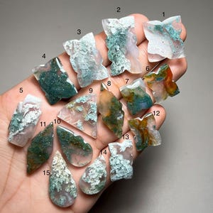 May include: A collection of fifteen polished moss agate gemstones in various shapes, including butterfly and teardrop forms, featuring translucent white, green, and orange inclusions. Each stone is numbered from 1 to 15 for identification.