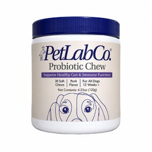 PetLab Co. Probiotic Dog Chews – Gut Health Support for Itchy Skin & Yeast Balance image 1