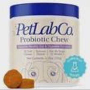 PetLab Co. Probiotic Dog Chews – Gut Health Support for Itchy Skin & Yeast Balance image 2