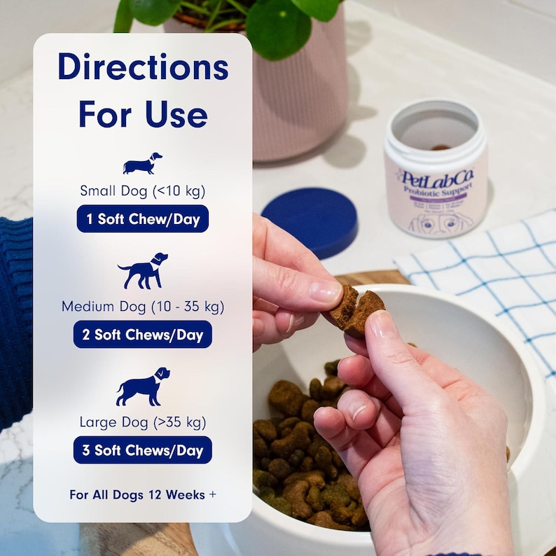 May include: A white jar of PetLabCo Probiotic Support for dogs, with a blue lid, and a serving size guide. The guide shows the number of soft chews per day based on dog size: small, medium, and large. A person is holding a soft chew.