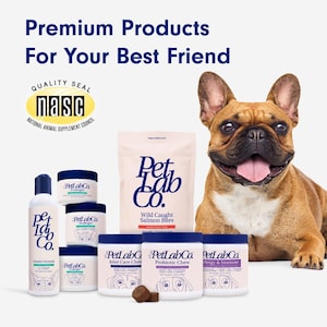 May include: An assortment of PetLab Co. pet products, including dental formula, joint care chews, and probiotic chews, are displayed with a smiling French Bulldog. The products are in white containers with blue accents and the text "PetLab Co."