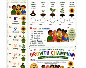 Little Sprouts - Maceta de jardín de 5 cm: Mini maceta personal. Cultiva tu propia luz del sol. Ideal para guarderías, campamentos, escuelas bíblicas de verano y colegios.