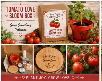 Tomato Love Bloom Box: persoonlijke miniplantset, kweek je eigen tomaten