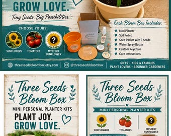 Scatola di fiori Three Seeds