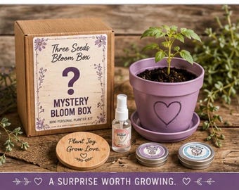 Mystery Bloom Box: Drei Samen Mini Personal Planter Kit