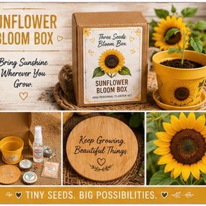 May include: A sunflower bloom box with the text "Sunflower Bloom Box" and "Bring Sunshine Wherever You Grow." The box includes a yellow pot, seeds, and a wooden disc with the text "Keep Growing. Beautiful Things."