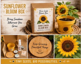 Caja de cultivo de girasoles: mini kit de maceta personal, cultiva tu propio sol.