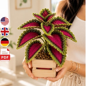 May include: A crocheted coleus plant featuring vibrant magenta leaves with dark green edges and a scalloped border. The plant is potted in a small, light-colored wooden crate filled with brown clay pebbles, creating a realistic botanical display.