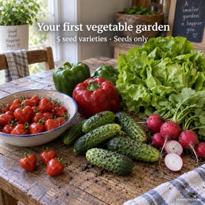 May include: A collection of fresh vegetables including a bowl of red cherry tomatoes, a green bell pepper, a red bell pepper, a head of green lettuce, several bumpy green cucumbers, and red radishes on a wooden table with text reading Your first vegetable garden 5 seed varieties · Seeds only.