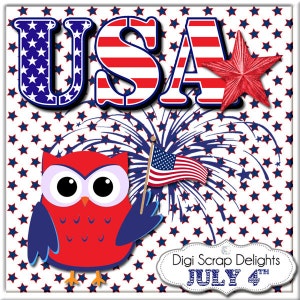 July 4 Clip Art Digital Scrapbook Kit in Red, White & Blue Owls, America, Flag, Patriotic, 4th of July, BBQ, Sparklers, Instant Download image 3