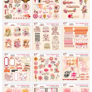 May include: A digital scrapbooking kit with pink and orange floral designs, text, and patterns. The kit includes embellishments, backgrounds, word art, tags, labels, and more. The kit is titled "Every Thought Captive".