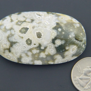 Madagascar Ocean Jasper Worry Palm Pocket Stone Jewelry Gemstone 4492P