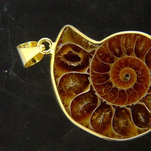 Può includere: Un ciondolo dorato con un ammonite fossilizzato con un motivo a spirale in tonalità di marrone e crema.