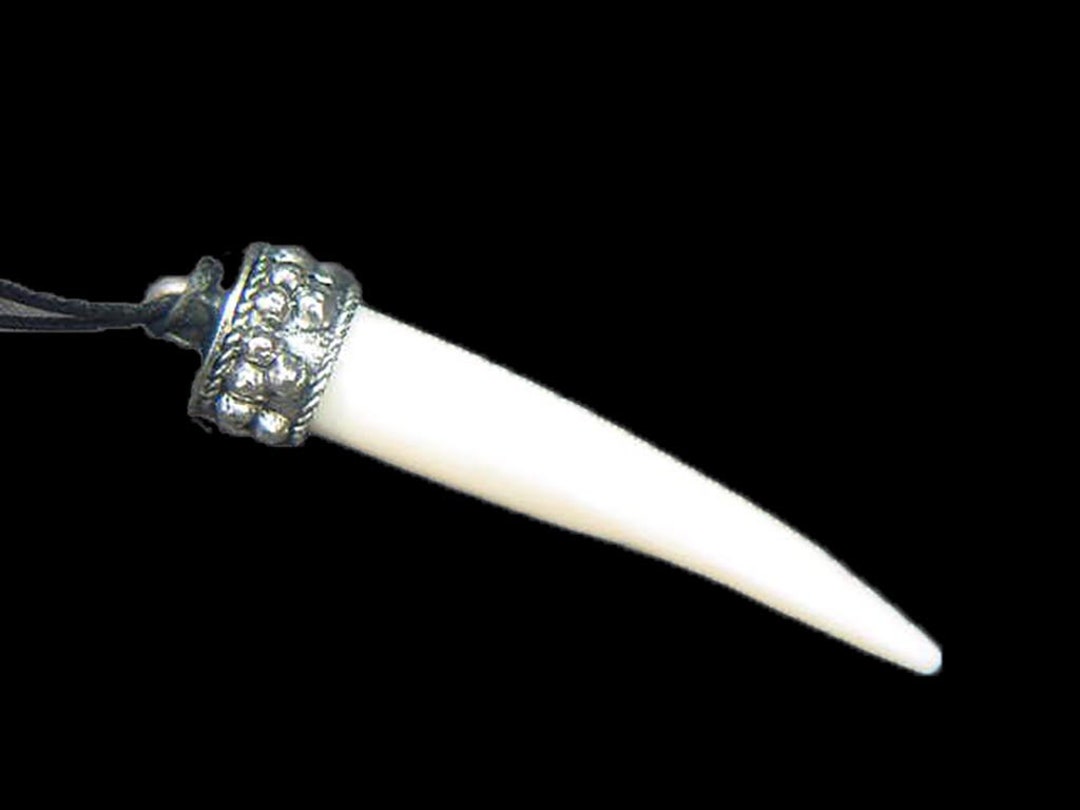 Water Buffalo Bone Tooth Tusk Shaped Pendant Pagan 0439A Etsy