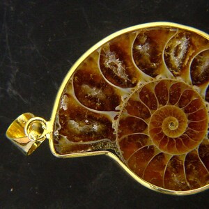 Può includere: Un ciondolo dorato con un ammonite fossilizzato che presenta un motivo a spirale in tonalità di marrone e bianco.