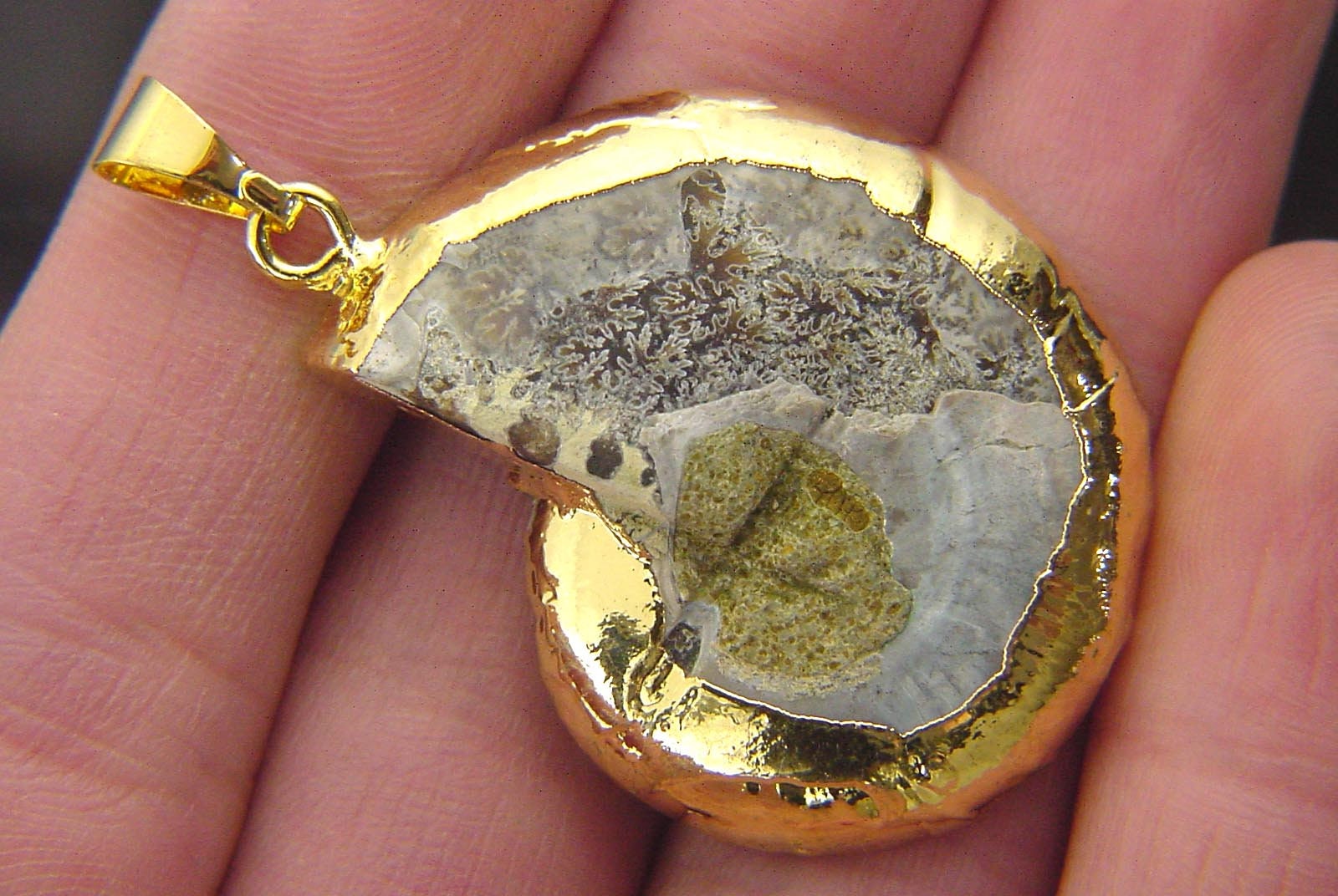金メッキ アンモナイト オウムガイ化石ペンダント ネックレス