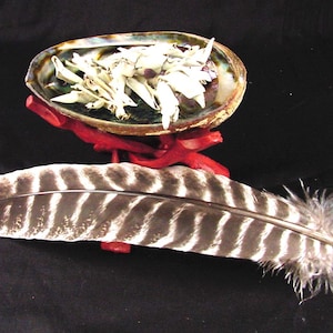 Smudging Kit Abalone Shell & Stand, White Sage and Feather  6593K