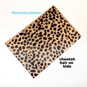 May include: A close-up of a cheetah hair-on hide. The hide is tan with black spots. The text "cheetah hair on hide" is printed on the hide.
