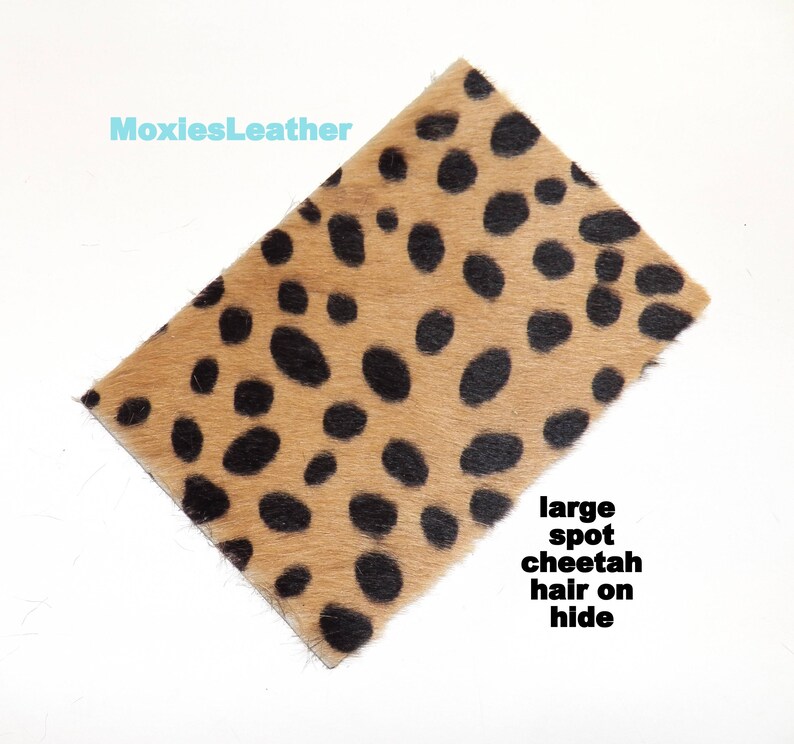 May include: A close-up of a tan and black cheetah hide with large spots. The hide is soft and has a natural feel.  The text "large spot cheetah hair on hide" is written below the hide.