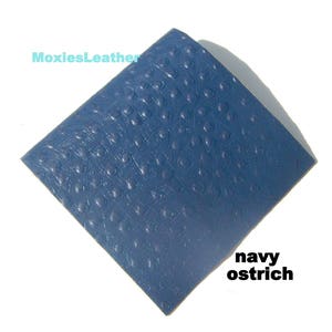 Straussenleder blau - Lederstücke in blau mit Straußendesigns, blaue Lederwaren, Lederreste, Lederstücke