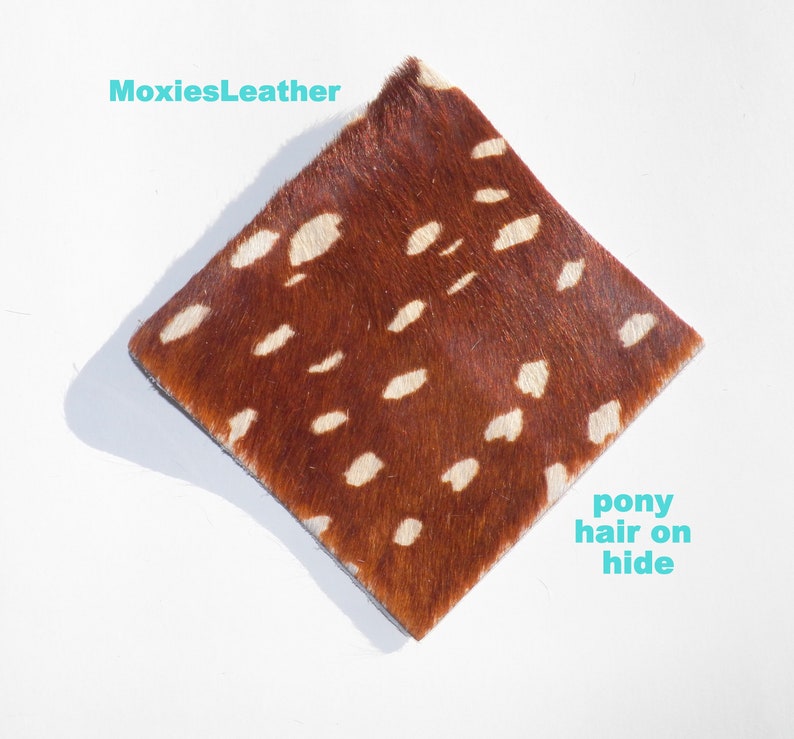 Pony Leather Hair on Hide Pieces Pony Hair on Hide Print Etsy