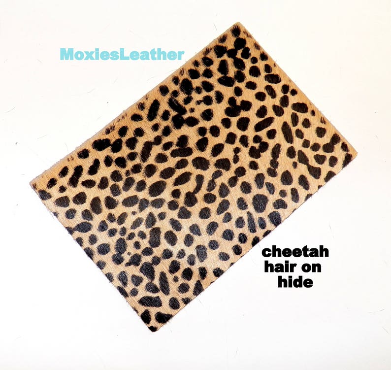 May include: A close-up of a cheetah hair-on hide, showing the natural black spots on a tan background. The text "cheetah hair on hide" is visible in the lower right corner of the image.