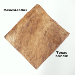 Natural Texas brindle hair on leather pieces- hair on hide cognac leather -  hide with hair on -leather with fur