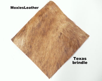 Cabello de brindle natural de Texas en piezas de cuero- pelo en cuero de coñac oculto - piel con el pelo en -cuero con piel