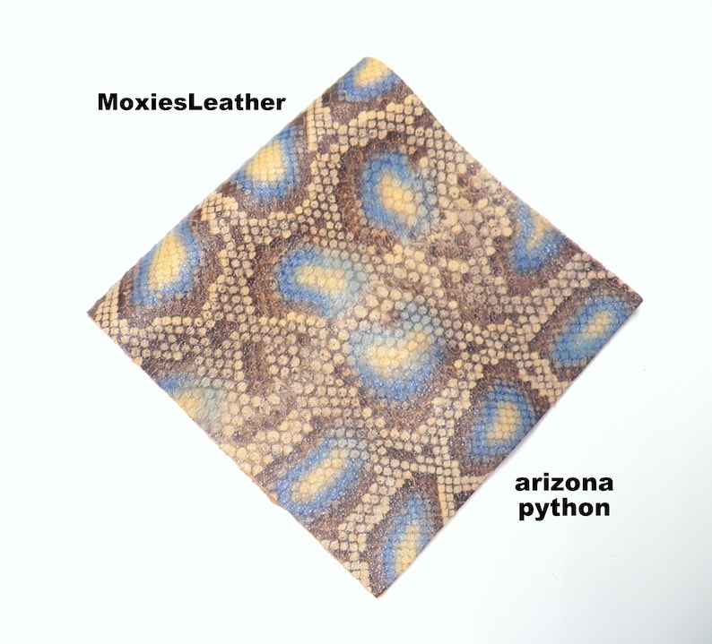 Puede incluir: Primer plano de un trozo de cuero de pit&oacute;n de Arizona marr&oacute;n y azul con un patr&oacute;n texturizado. El cuero est&aacute; etiquetado como "MoxiesLeather" y "arizona python".