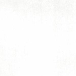 May include: A plain white background.