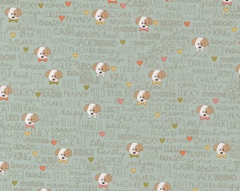 Too Cute to Spook Carved Pumpkin Black Cat 22420 11 -me and