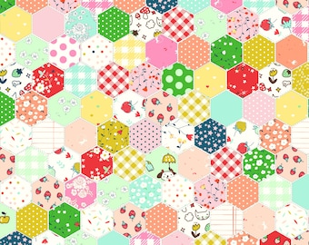 Serendipity 2 Cheater Print Multi C17309-MULTI by Minki Kim for Riley Blake Designs- 1/2 Yard