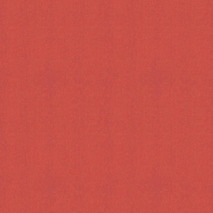 May include: Solid red background with a slightly textured surface.