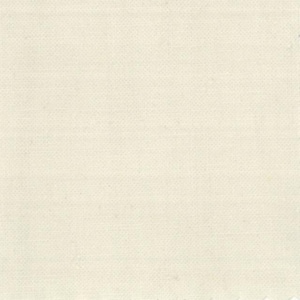 May include: A plain white canvas background with a subtle texture.