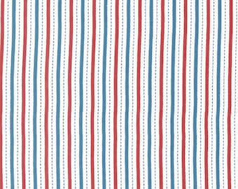【AAKE】STAR STRIPE NYLON PT 2615 Onyx/Stripe - Charlotte Fabrics