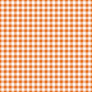 Bad to the Bone Gingham C11925-ORANGE by My Mind&#39;s Eye For Riley Blake Designs 1 yard