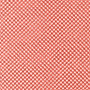 May include: Close-up of a fabric with a red and white gingham pattern. The pattern consists of small, evenly spaced squares, creating a classic and cheerful design. The fabric has a slightly textured appearance.