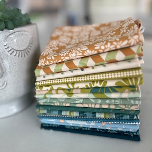 Evolve Fat Quarter Bundle designed by Suzy Quilts für Art Gallery-SHOP CUT- 18 Prints