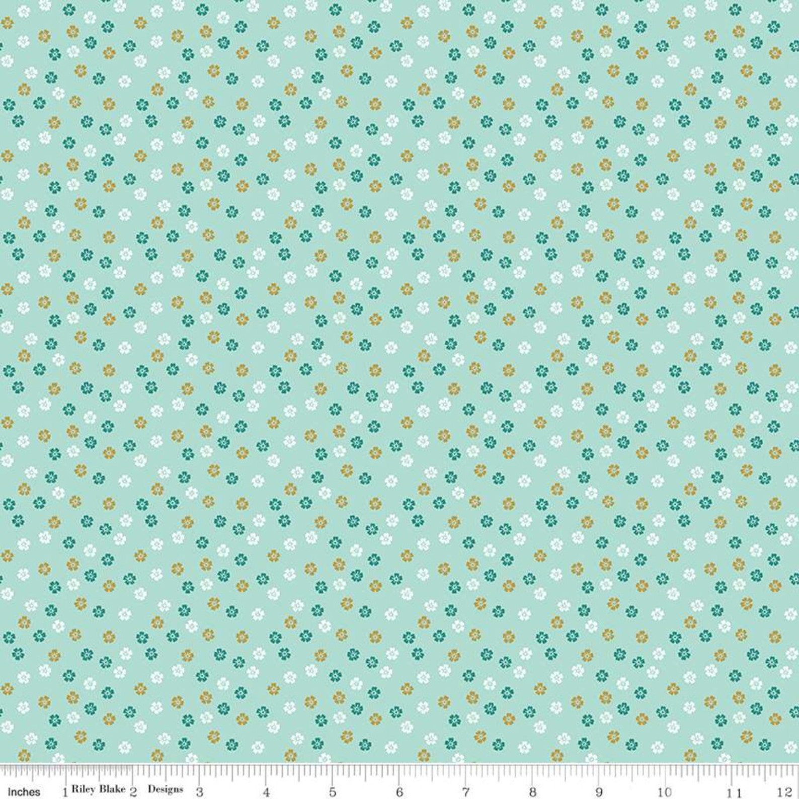 Seafoam Kitten Age