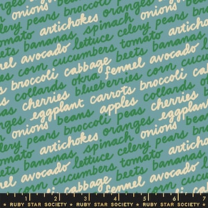 Food Group  In Season Text Words Ocean RS5042 14 by Ruby Star Society - Moda - 1/2 yard