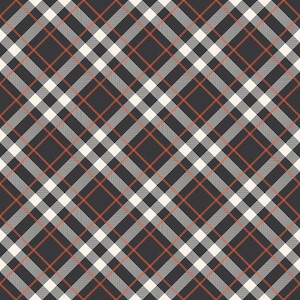 Hey Bootiful Plaid - GP13133-CHARCOAL by My Mind&#39;s Eye For Riley Blake Designs- 1 Yard