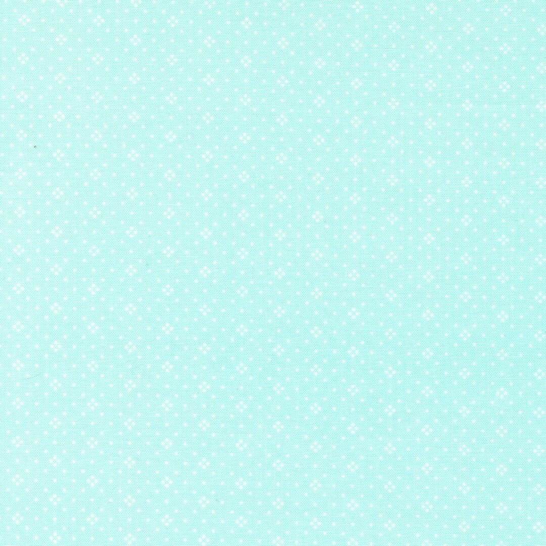 Leafline Eyelet A-line Dress (Sky Blue)