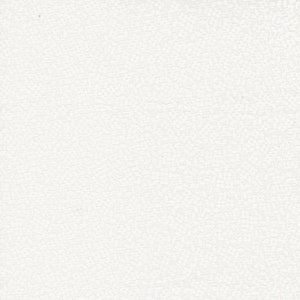 Coriander Seeds Ditsy White 29148 11  by Corey Yoder- Moda- 1 Yard
