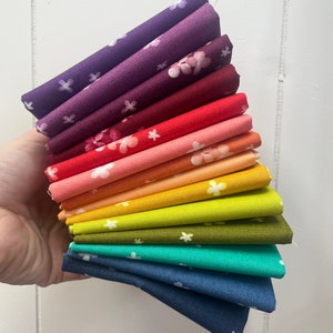 Fat Quarter Bundle of Ombre Blooms by V and Co - Full Range of 14 colors of Ombre