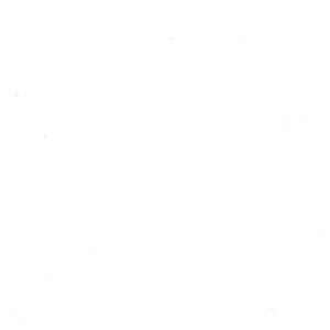 May include: A white background with a few small, light gray specks.