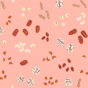 Smol Kims Knuts Peach RS3015 11 by Kimbrerly Kight -Ruby Star Society - Moda-  Half Yard