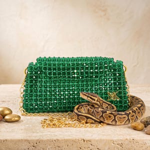 Può includere: Una borsa verde con perline con una tracolla a catena dorata e un logo dorato. Un serpente marrone e beige è arrotolato accanto alla borsa. La borsa è rettangolare e ha una superficie strutturata.